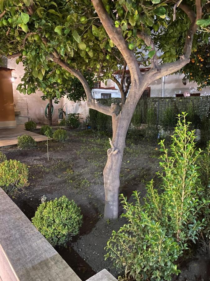 Divi Palace Villa Torre Annunziata Dış mekan fotoğraf